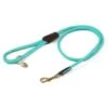 Digby & Fox Honden Lijn Rondgenaaid Teal 110cm 2 Digby & Fox Honden Lijn Rondgenaaid Teal 110cm -Huisdierbenodigdheden shires 6886 teal.66363d