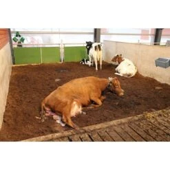 Suevia Drinkbak Model 6140 Compact 55cm -Huisdierbenodigdheden suevia 1306140 kompakt trogtranke aus edelstahl in abkalbebucht.d83e4d