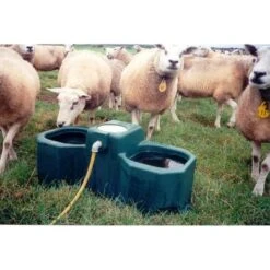 Suevia Weidedrinkbak WT 80 Met Vlotter -Huisdierbenodigdheden suevia 1600102 laufstall und weidetranke wt80 in aktion mit schafe.a8c519