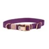 Weatherbeeta Dog Collar Elegance Purple -Huisdierbenodigdheden wb 1000058015 wb elegance collar image hero null.82a99b