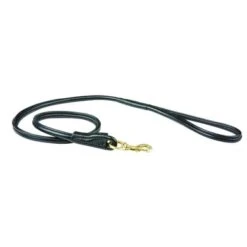 Weatherbeeta Dog Lead Rolled Leather Black M