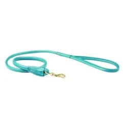 Weatherbeeta Dog Lead Rolled Leather Teal M