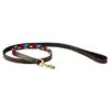 Weatherbeeta Hondenriem Polo Cowdray/Brown/Pink/Blue/Yellow M -Huisdierbenodigdheden wb 1001698010 wb polo leather dog lead image studio.4a5e44