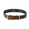 Weatherbeeta Halsband Polo Leer Beaufort/Brown/Purple/Teal 1 Weatherbeeta Halsband Polo Leer Beaufort/Brown/Purple/Teal -Huisdierbenodigdheden wb 1001699014.17ab38
