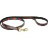 Weatherbeeta Hondenriem Polo Leer Beaufort Brown/Rood/Oranje/Blauw M 2 Weatherbeeta Hondenriem Polo Leer Beaufort Brown/Rood/Oranje/Blauw M -Huisdierbenodigdheden weatherbeeta 1001698018 wb polo dog lead image hero null.216f69