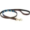 Weatherbeeta Hondenriem Polo Leer Cowdray Brown/Blauw/Blauw M