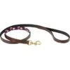 Weatherbeeta Hondenriem Polo Leer Cowdray Brown/Paars/Paars M -Huisdierbenodigdheden weatherbeeta 1001698020 wb polo dog lead image hero null.26b26b